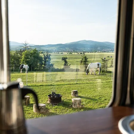 Bus Ikarus Holiday home *